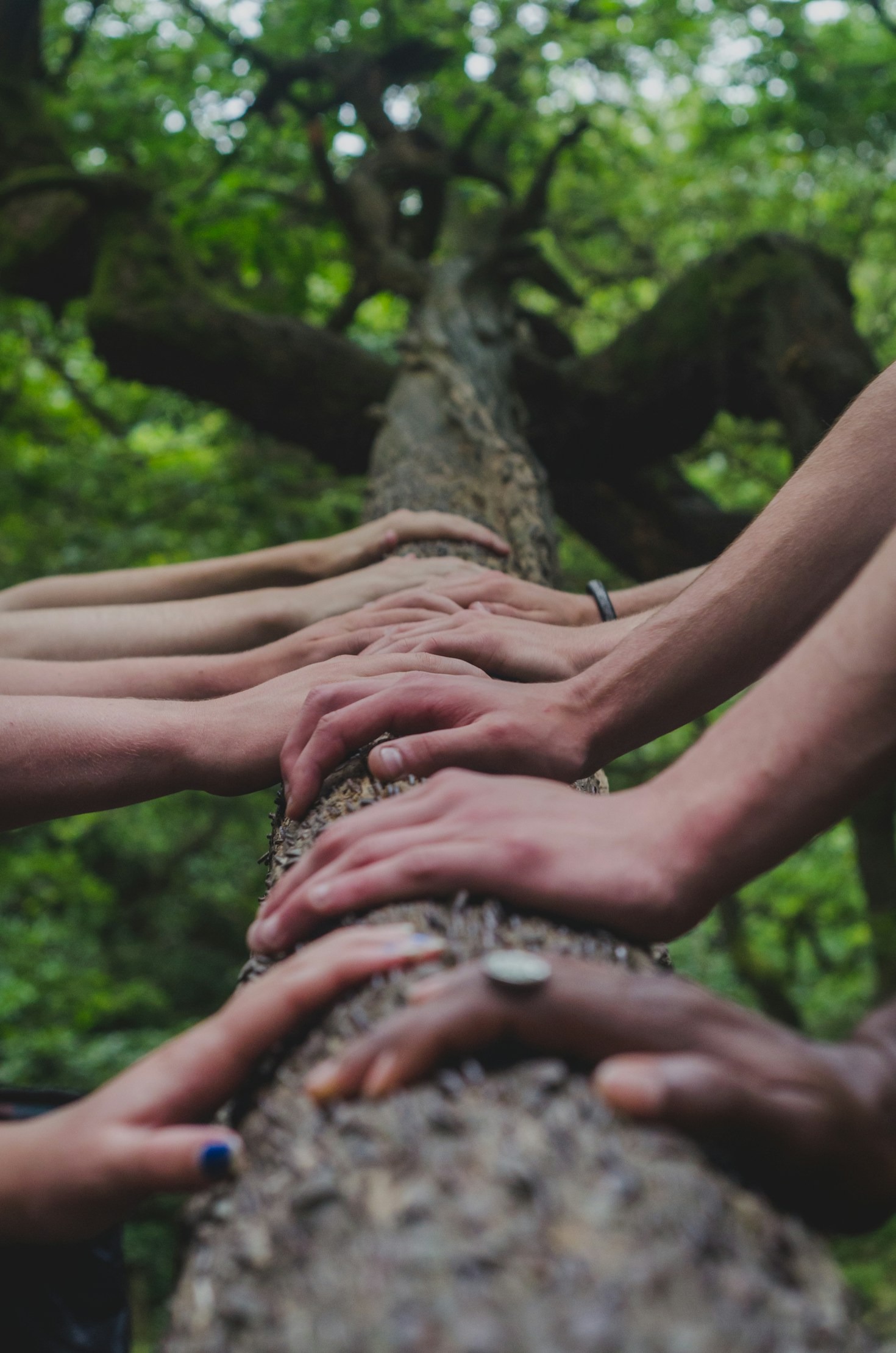 Maximizing Impact Through Collaborative Efforts
