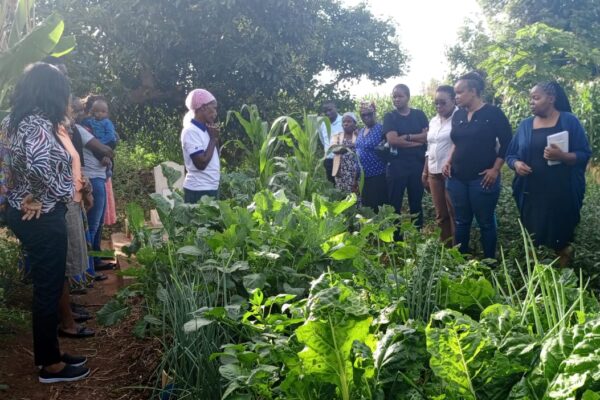 WhatsApp Image 2025-11-06 at 7.55.46 PM